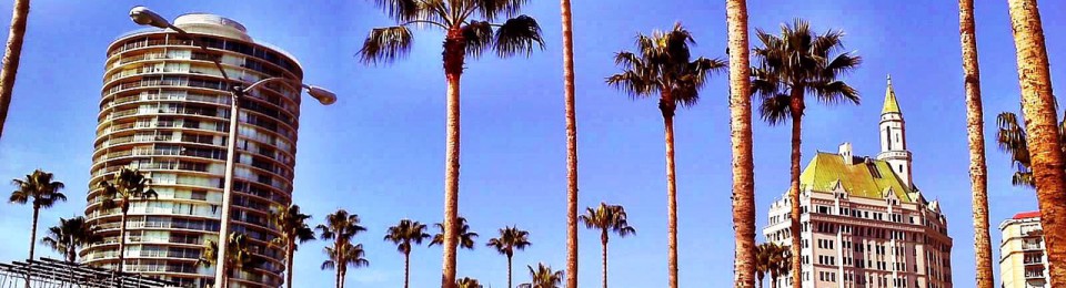 Robin Evans, LCSW, MSW