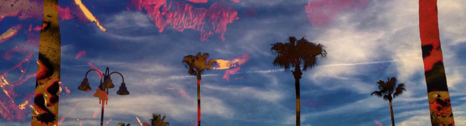 Robin Evans, LCSW, MSW