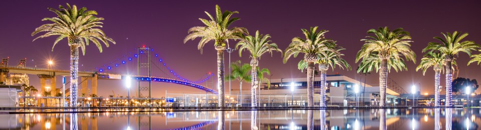 Robin Evans, LCSW, MSW