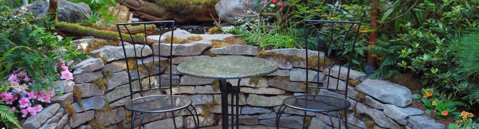 Robin Evans, LCSW, MSW